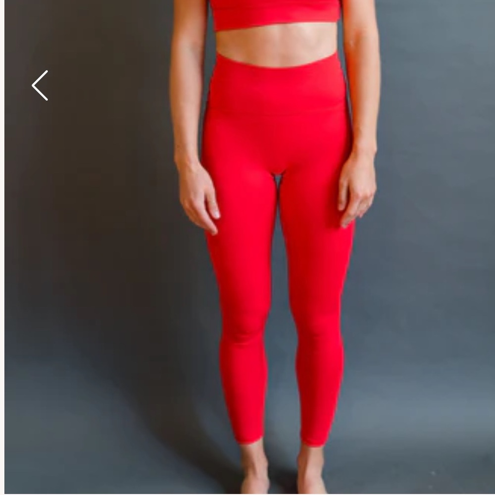 NWT Salt Project Sculpt Cherry Fearless Leggings
